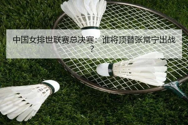 img_1785248387109_955_1_691.jpg